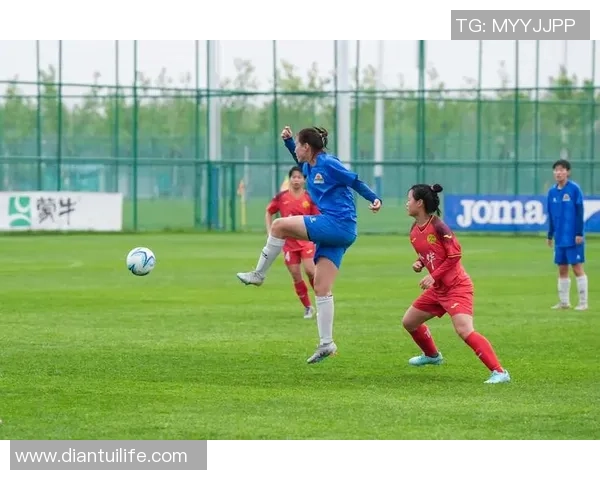 金华地区知名足球明星盘点及其成就介绍